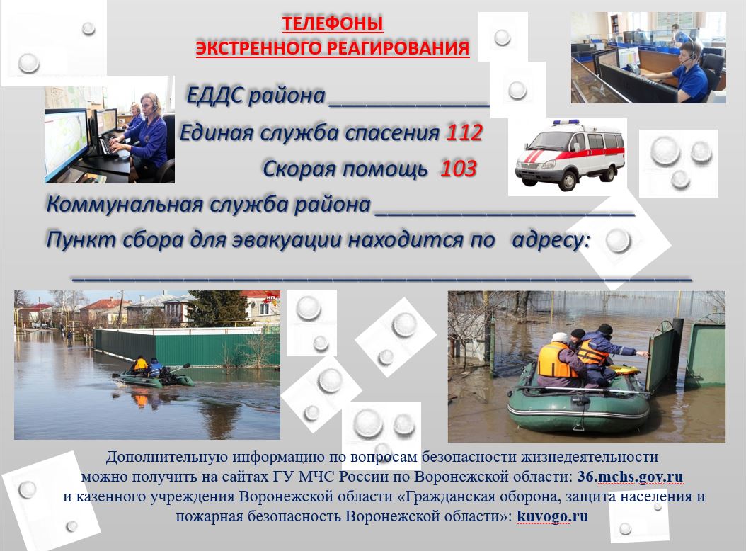 Изображения.