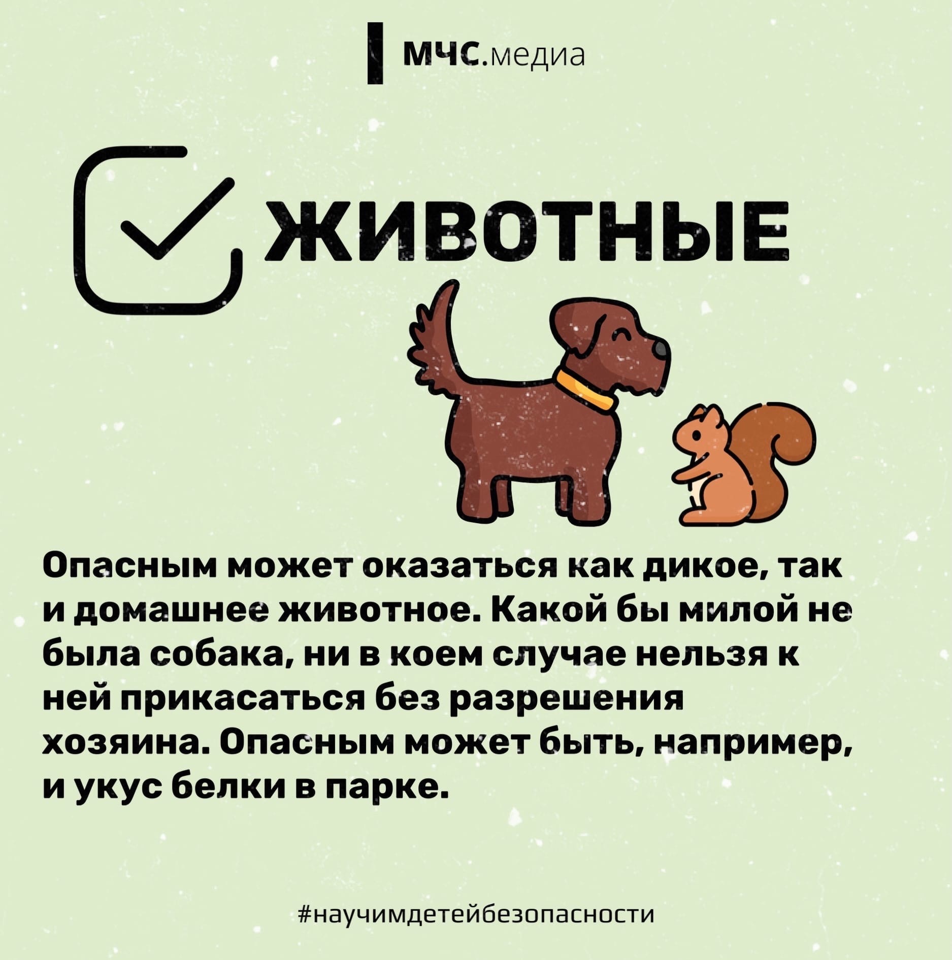 Отдых в городе.